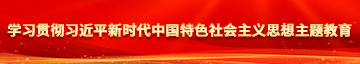 被插小穴的视频学习贯彻习近平新时代中国特色社会主义思想主题教育